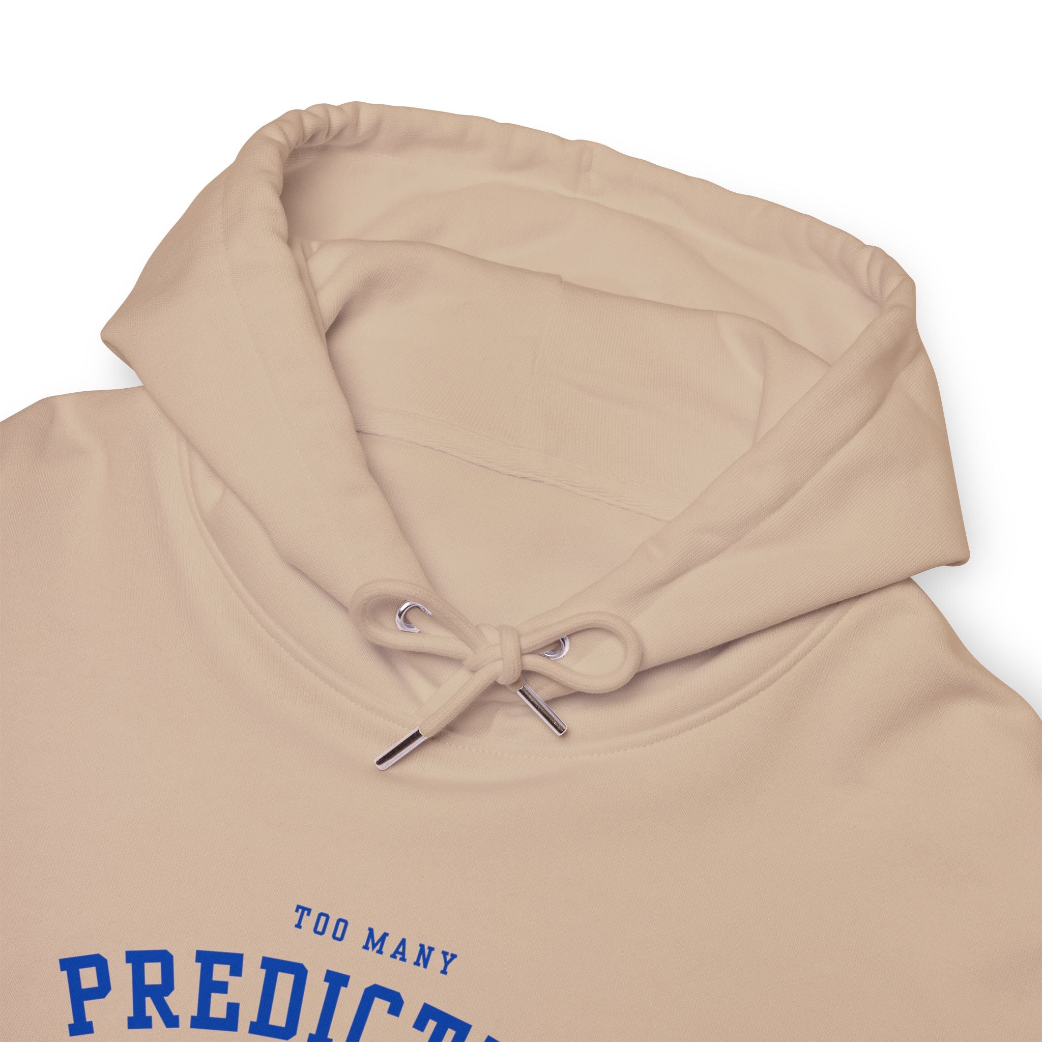 Too Many Predictive Programming Coincidences 2025 Hoodie