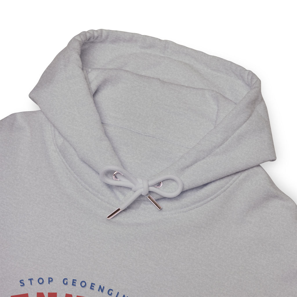 Stop Geoengineering Tennessee Banned Chemtrails 2024 Hoodie Truth Seeker Hoodie