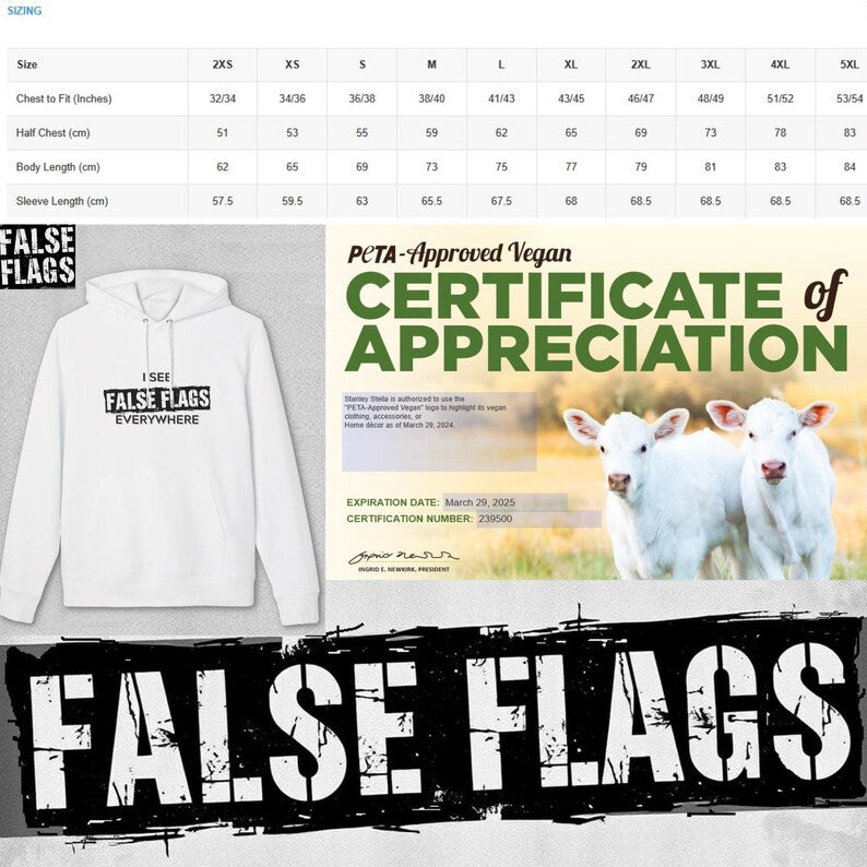 Chemtrails Worldwide - Stop Spraying Chemicals on Us Hoodie