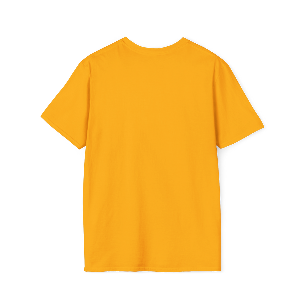 Not Contrails But Chemtrails T-Shirt