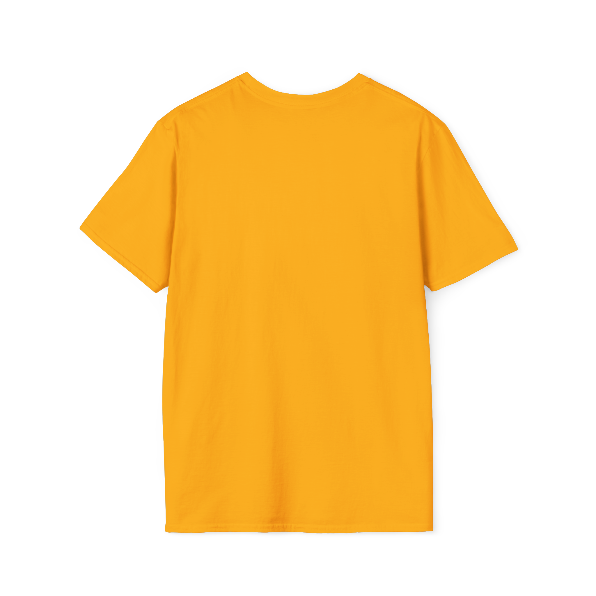 Not Contrails But Chemtrails T-Shirt