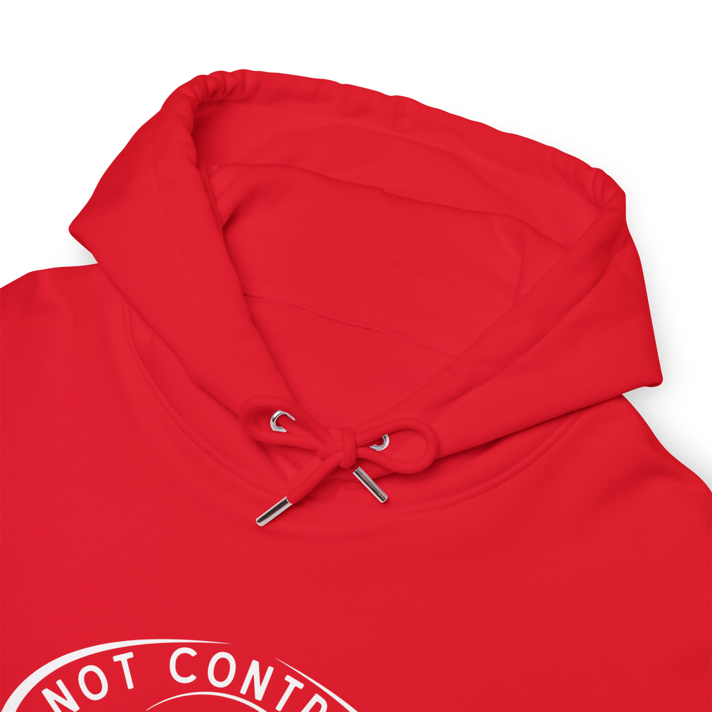 Not Contrails But Chemtrails Hoodie