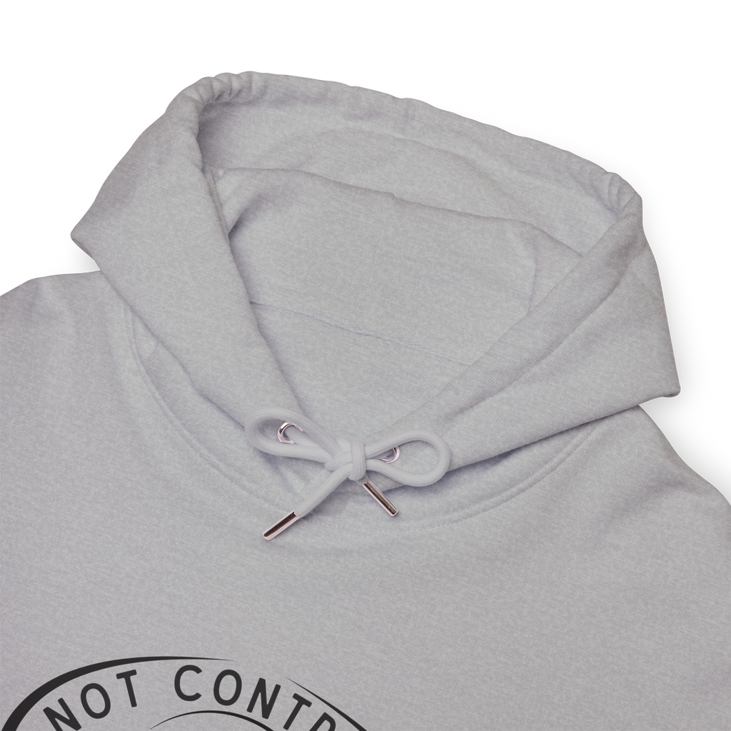 Not Contrails But Chemtrails Hoodie