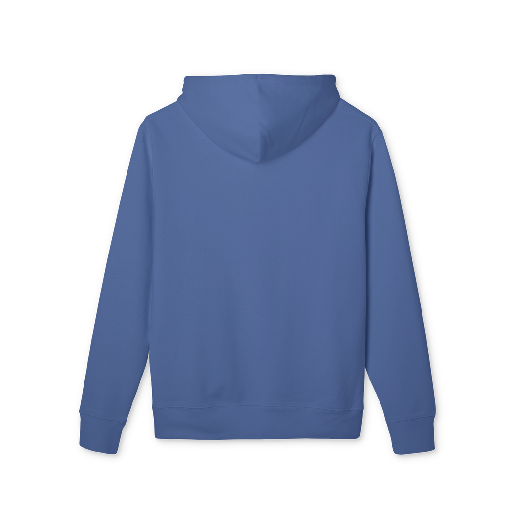 Too Many Predictive Programming Coincidences 2025 Hoodie