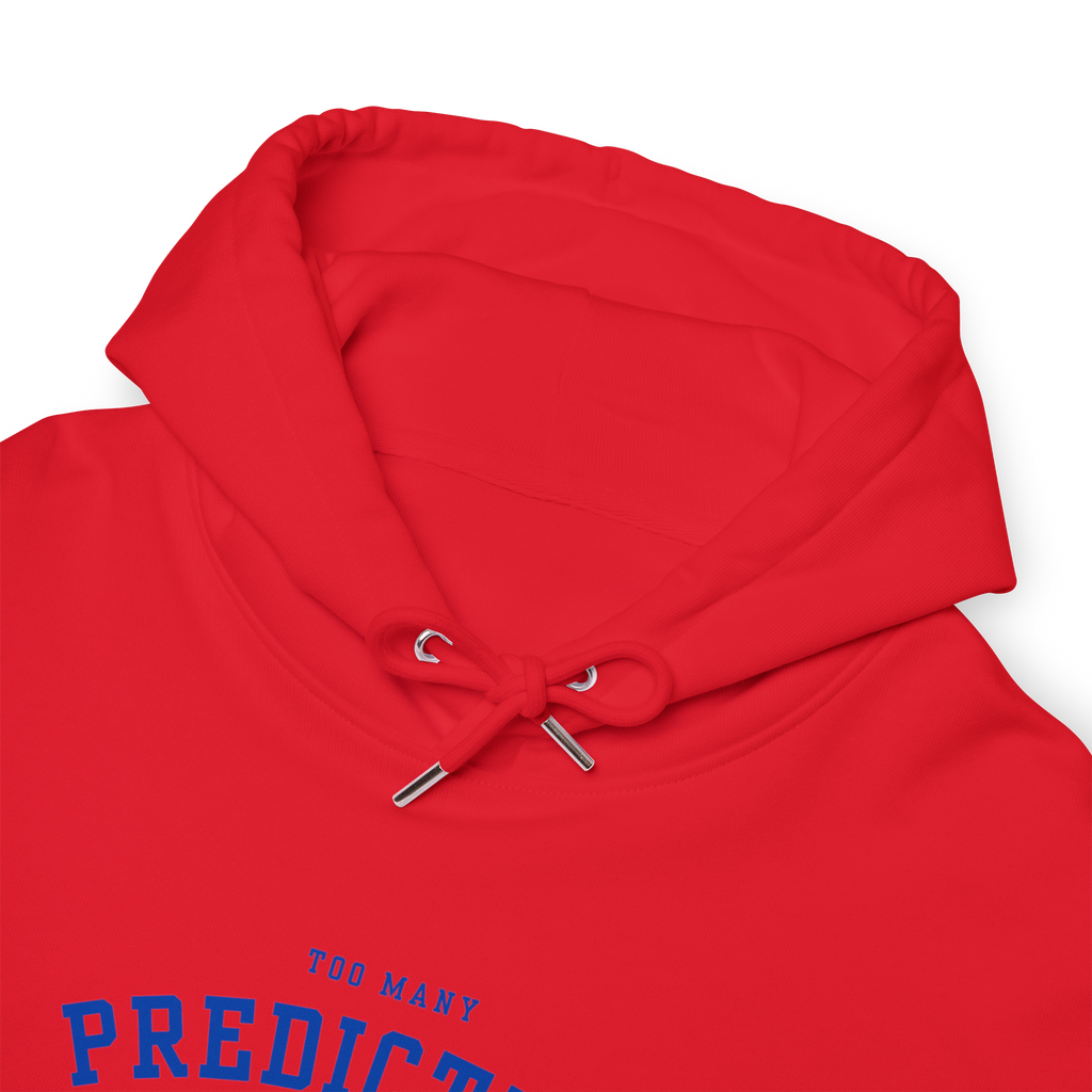 Too Many Predictive Programming Coincidences 2025 Hoodie