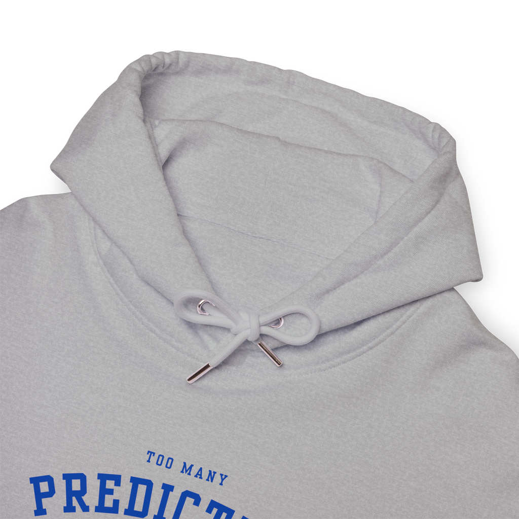 Too Many Predictive Programming Coincidences 2025 Hoodie