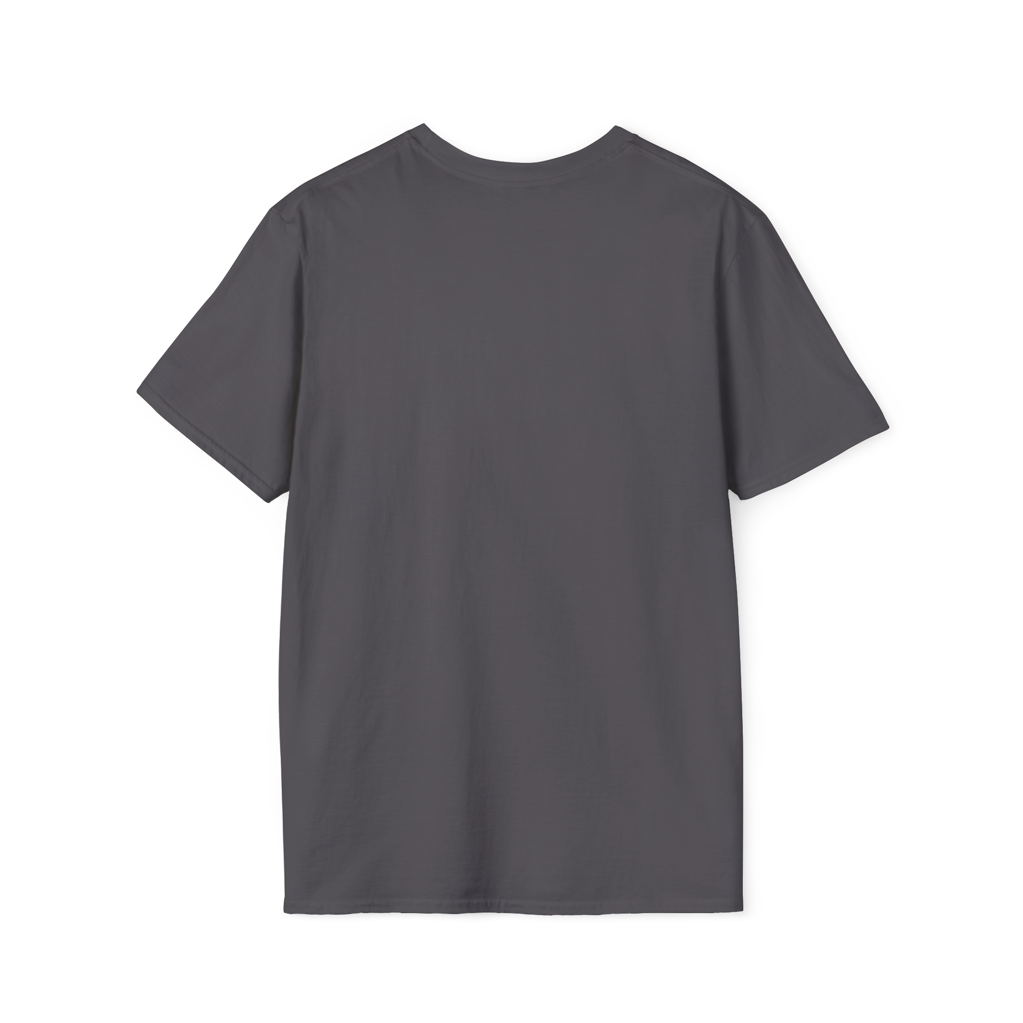 Not Contrails But Chemtrails T-Shirt