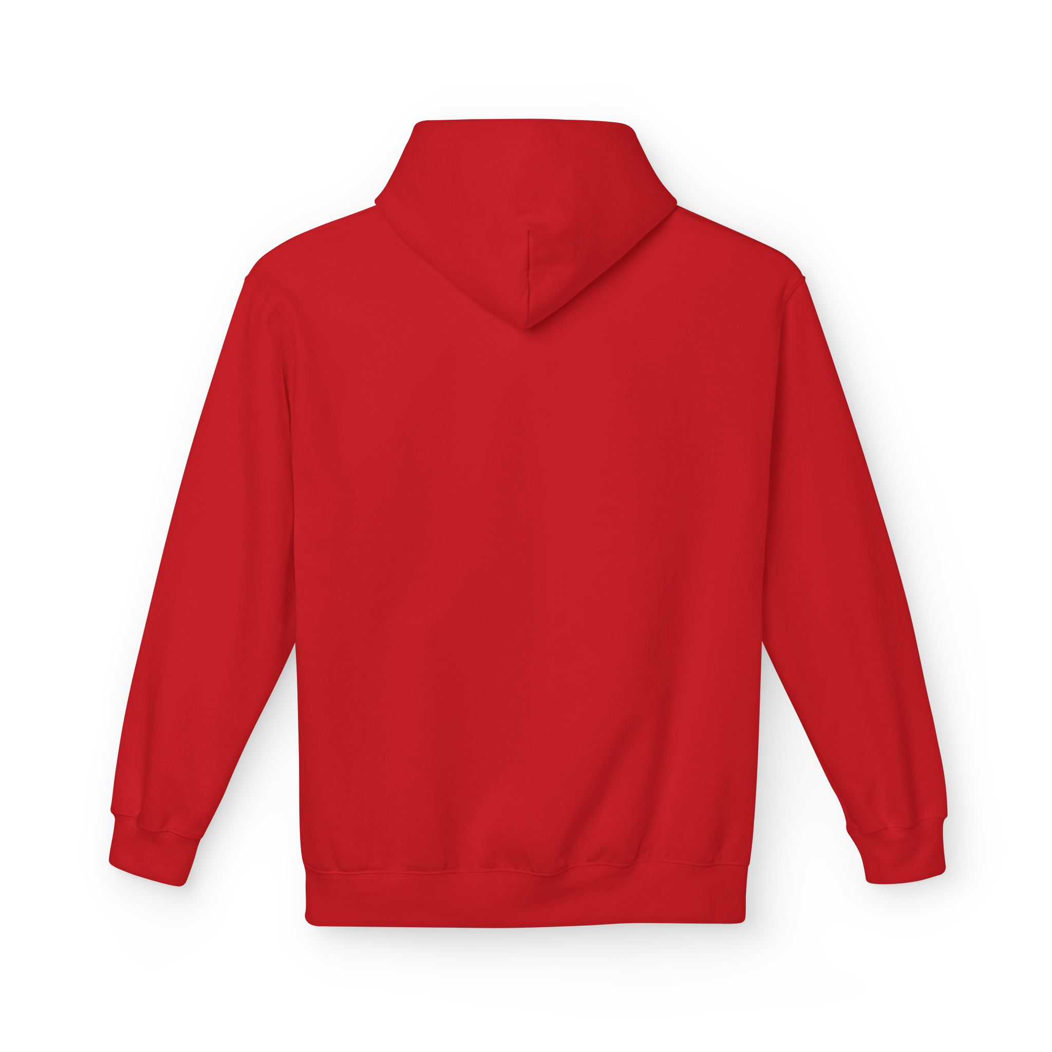 This Sentence Is Completely Pointless Hoodie
