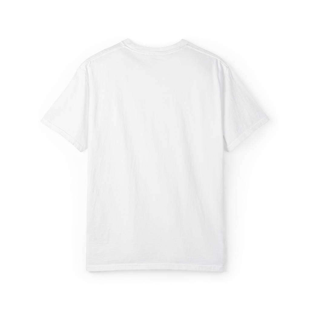 Boston Chemtrails T-Shirt