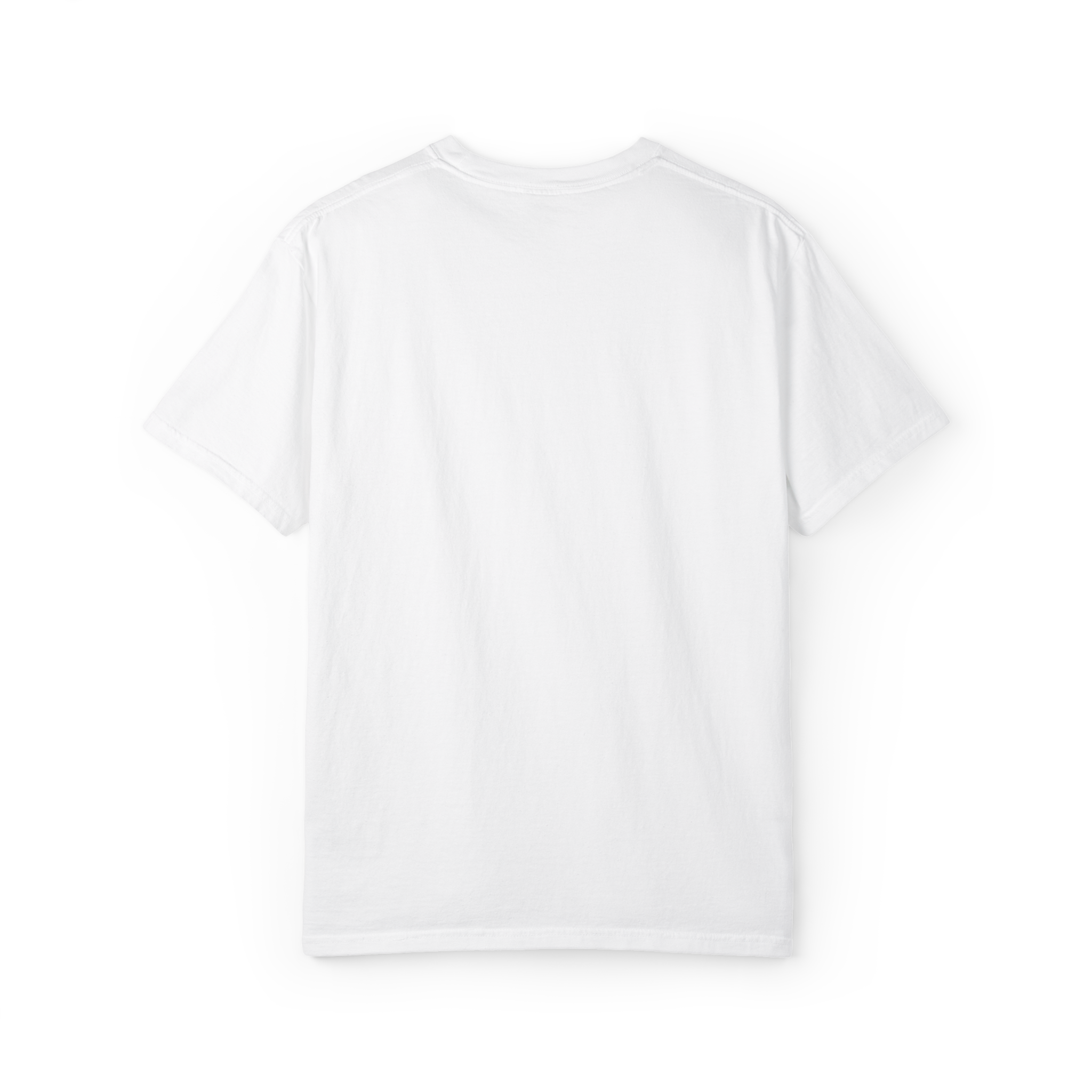 Boston Chemtrails T-Shirt