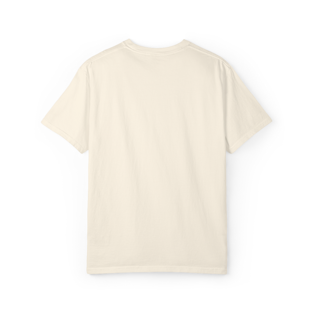 Boston Chemtrails T-Shirt