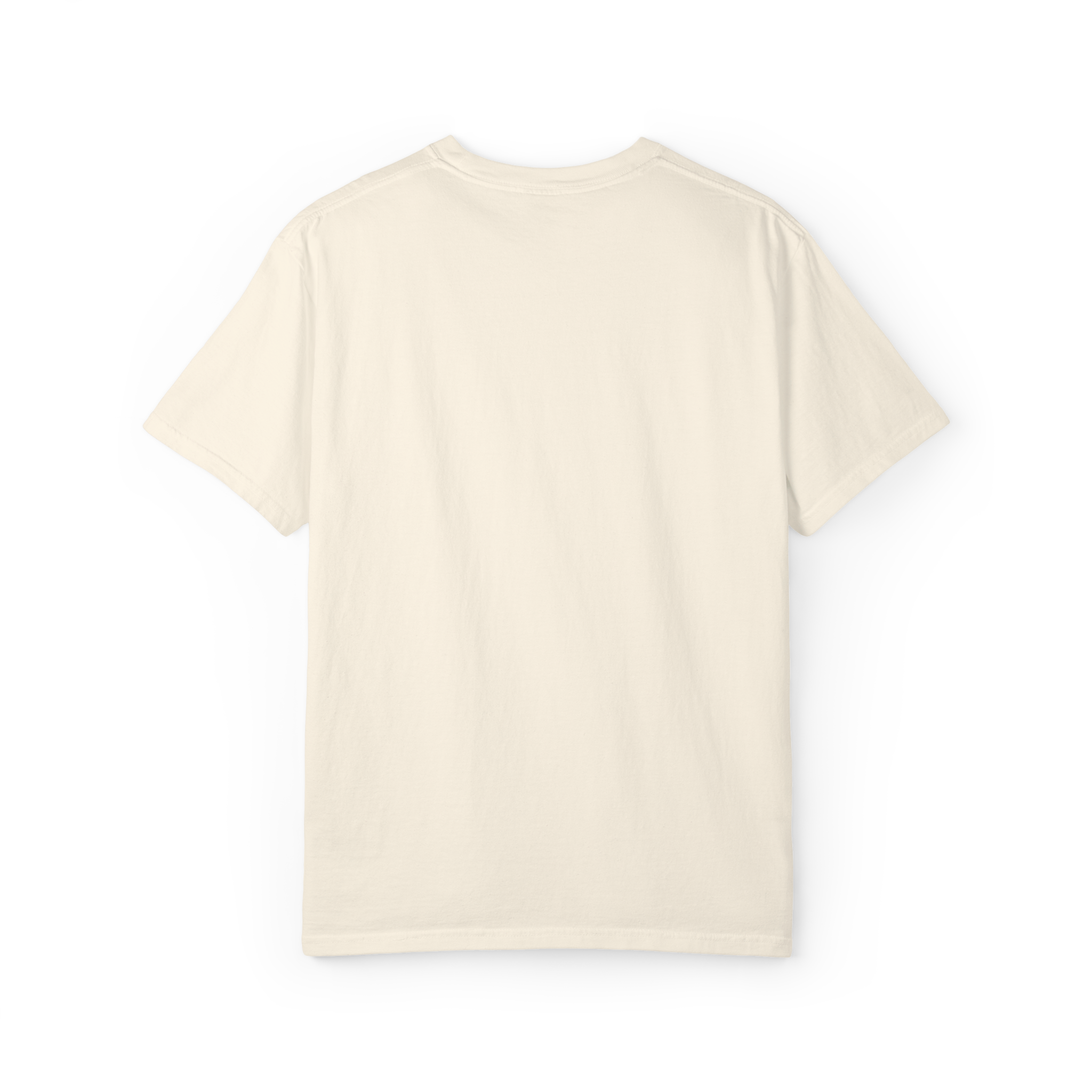 Boston Chemtrails T-Shirt