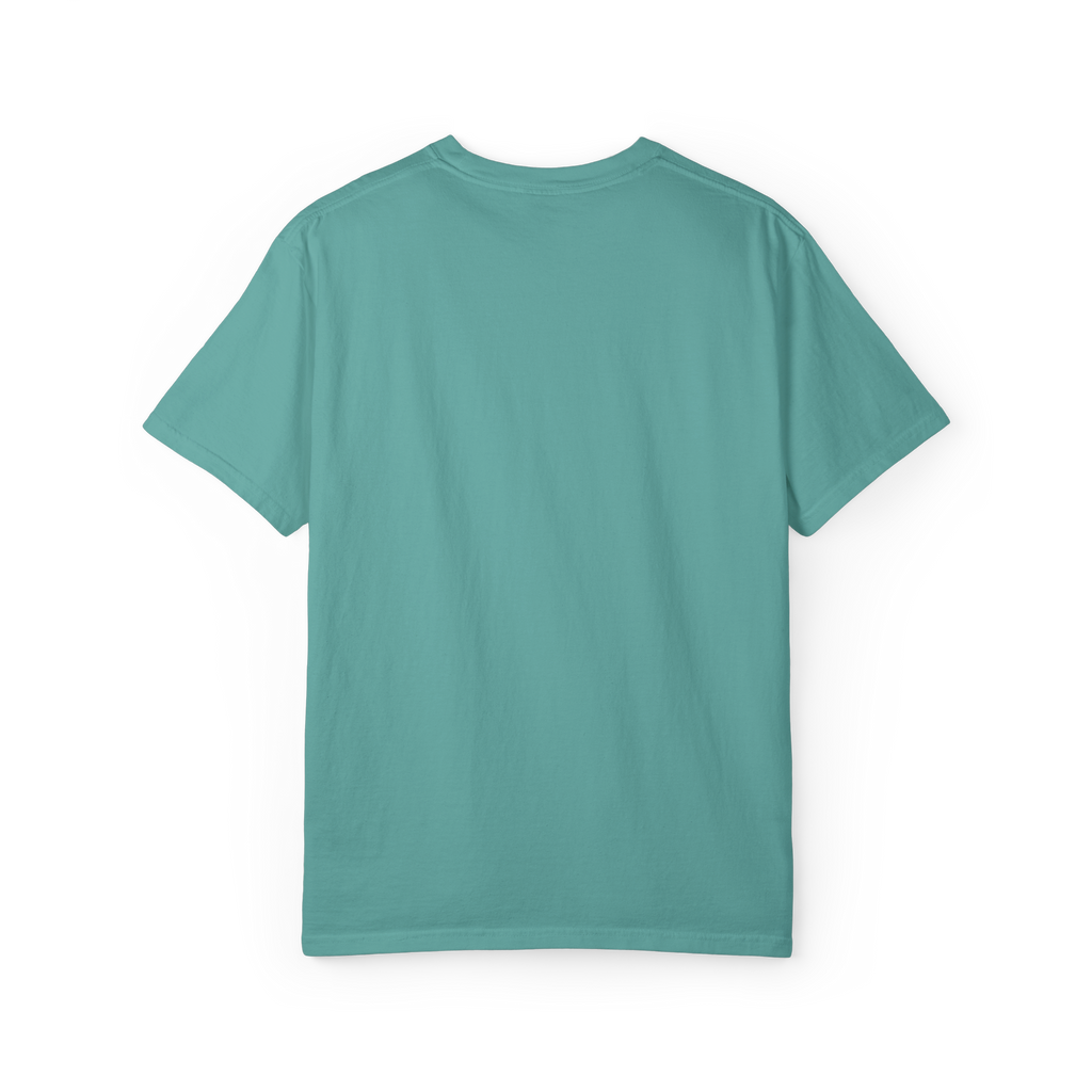 Boston Chemtrails T-Shirt