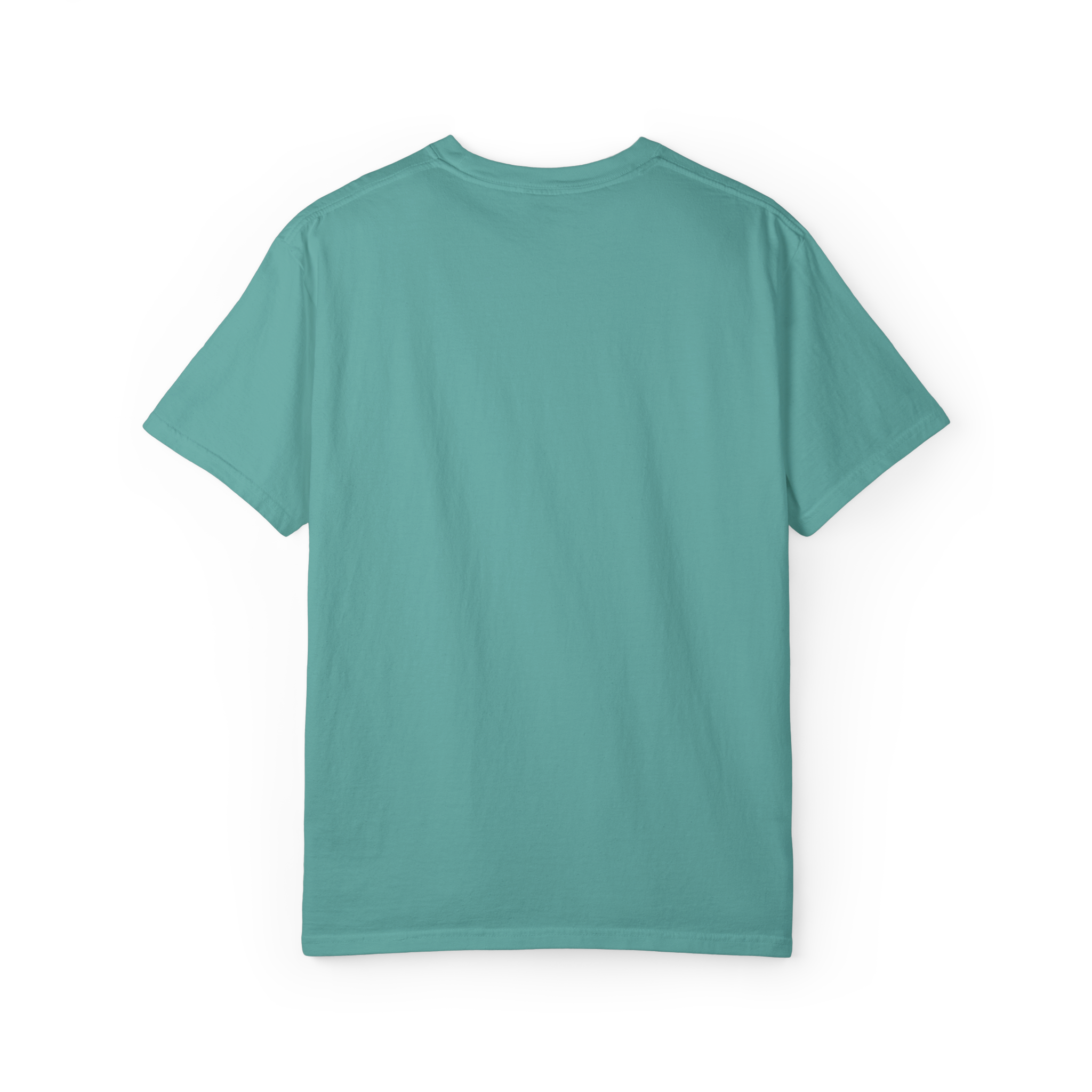 Boston Chemtrails T-Shirt