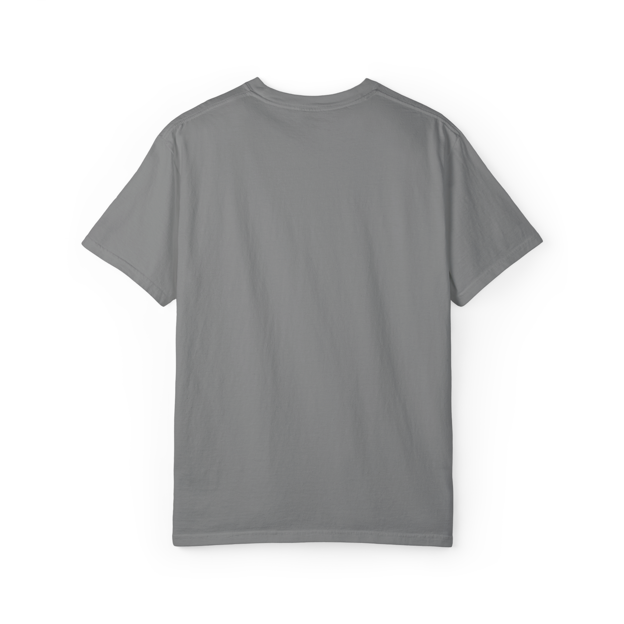 Boston Chemtrails T-Shirt