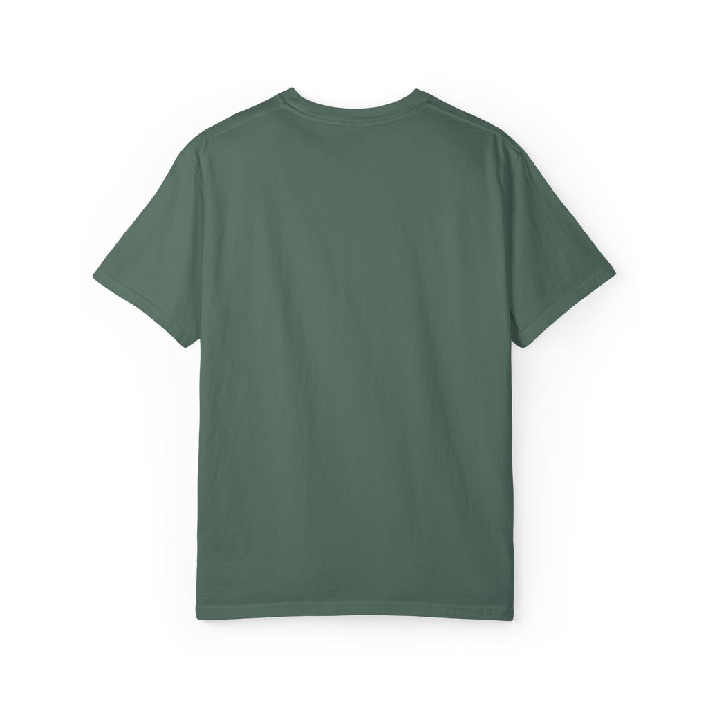 Boston Chemtrails T-Shirt