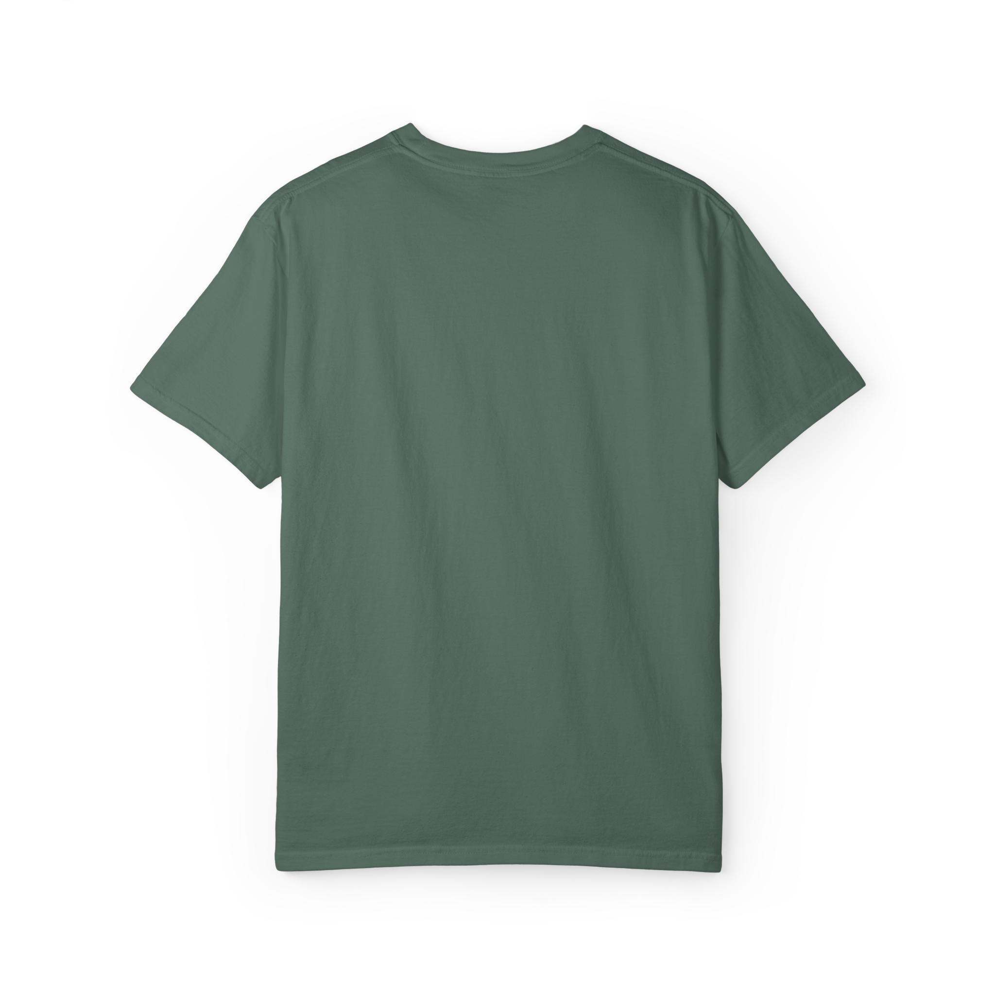 Boston Chemtrails T-Shirt