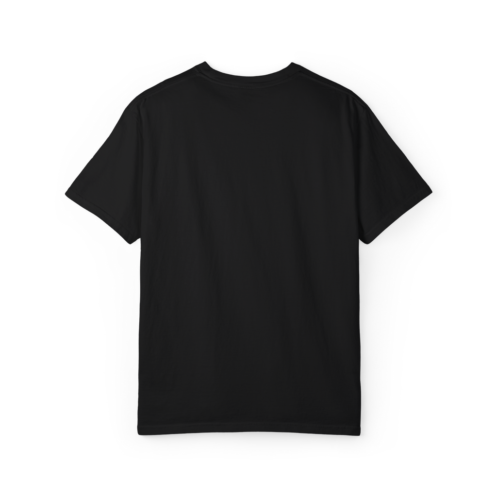 Boston Chemtrails T-Shirt
