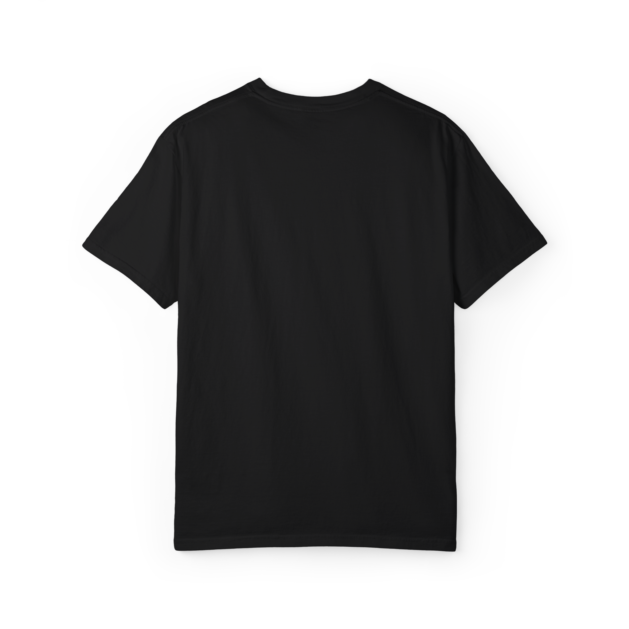 Boston Chemtrails T-Shirt