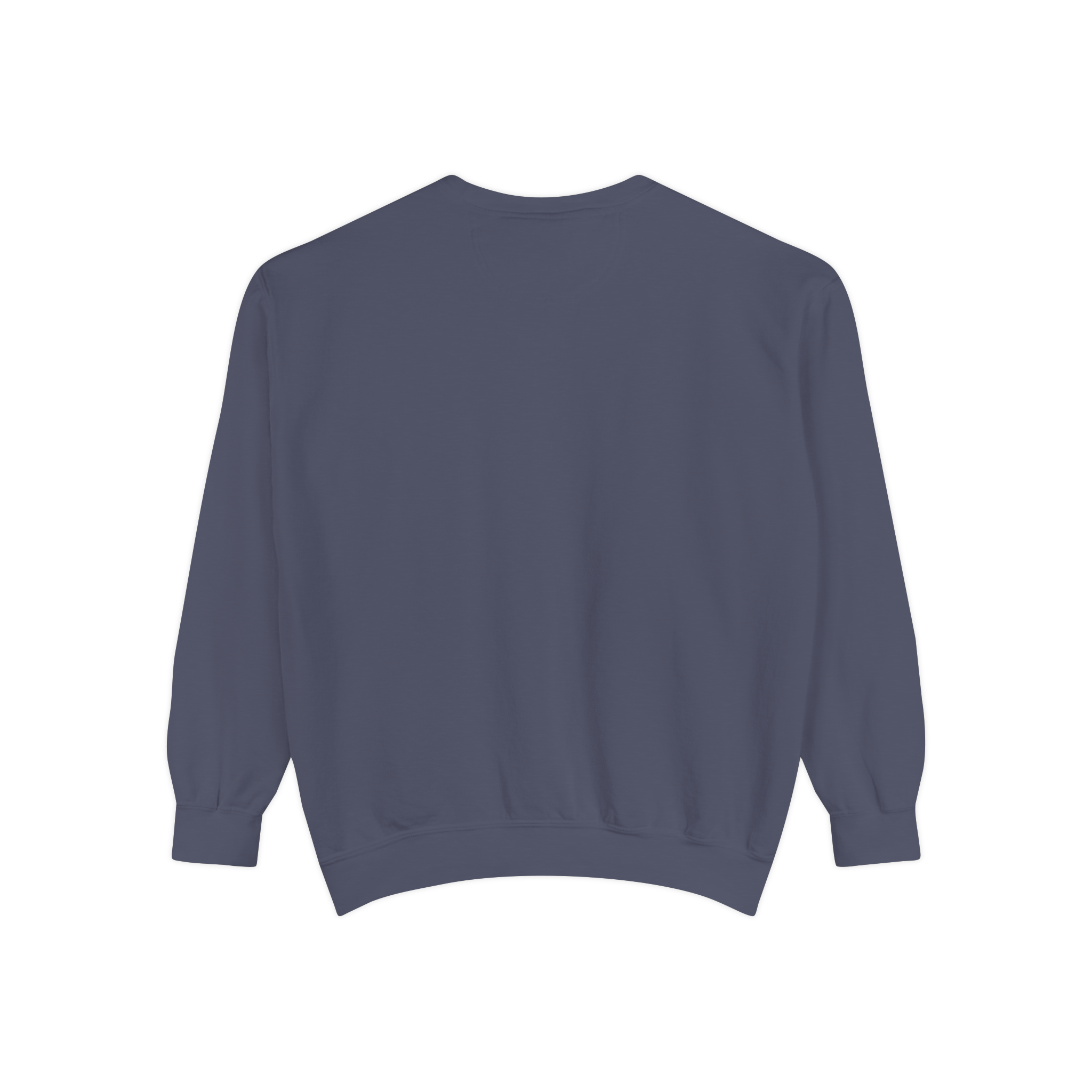 The Real Journey Is Within Sweatshirt