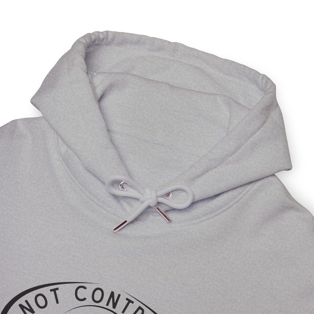 Not Contrails But Chemtrails Hoodie