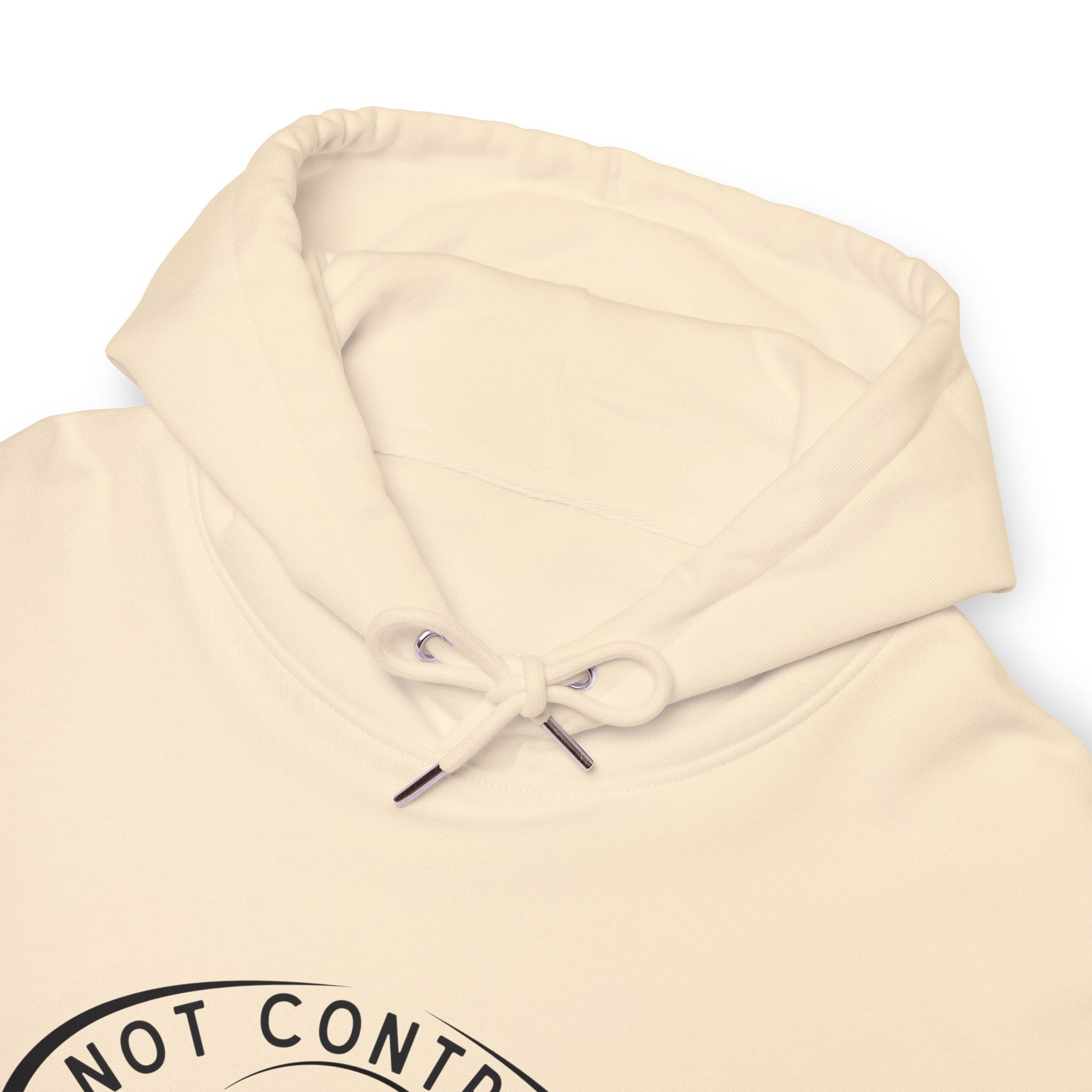 Not Contrails But Chemtrails Hoodie
